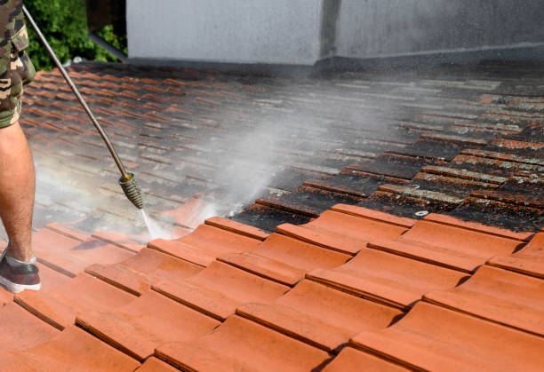 Best Pressure Washing Company Near Me  in Bloomfield, NY