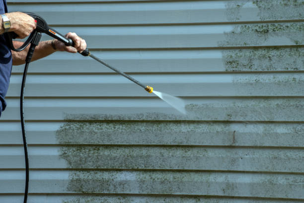 Best Deck Pressure Washing  in Bloomfield, NY