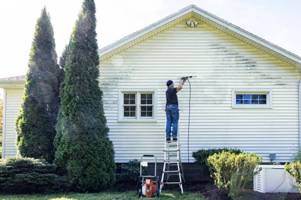Best Concrete Pressure Washing  in Bloomfield, NY