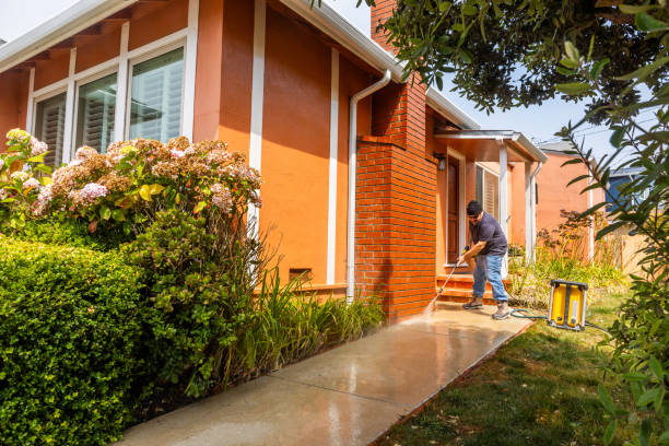 Best Residential Pressure Washing Services  in Bloomfield, NY