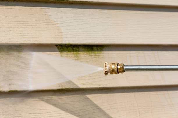 Best Affordable Pressure Washing  in Bloomfield, NY